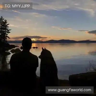程会旎